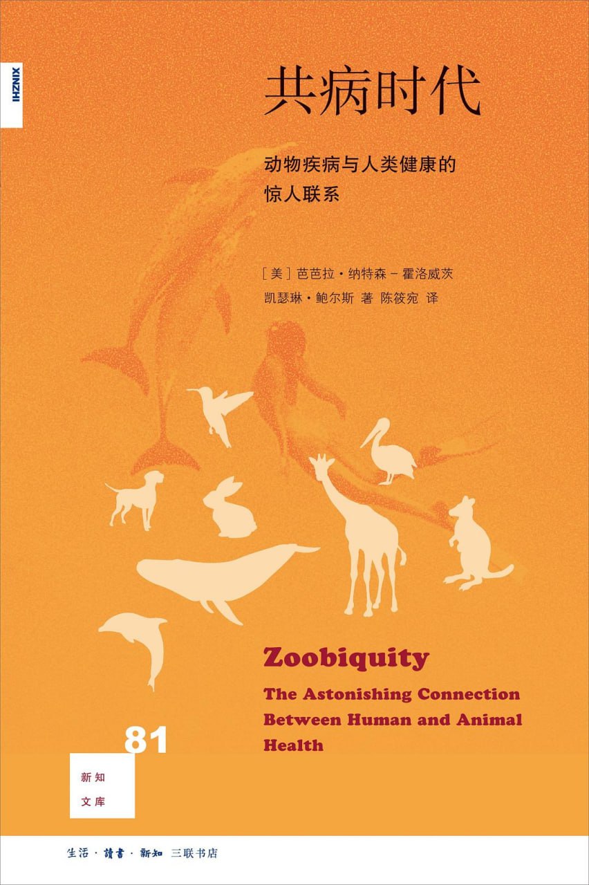 《共病时代》(pdf) - 迅雷云盘 资源封面图
