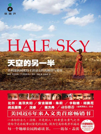 《天空的另一半》(epub) - 迅雷云盘 资源封面图