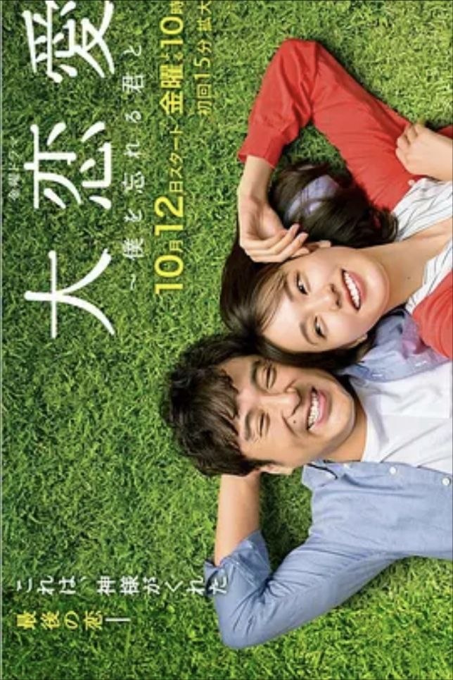 大恋爱：与将我忘记的你 (2018) 1080P - 夸克网盘 资源封面图