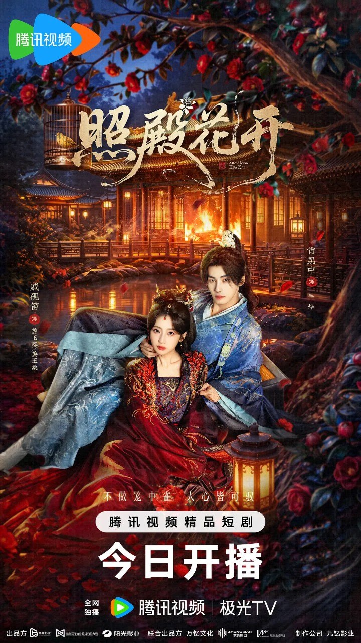 照殿花开 (2026) 【24集全】【4K.HDR10】【高码率】【内嵌简中】【戚砚笛/肖凯】【动作/古装】 - 迅雷云盘 资源封面图