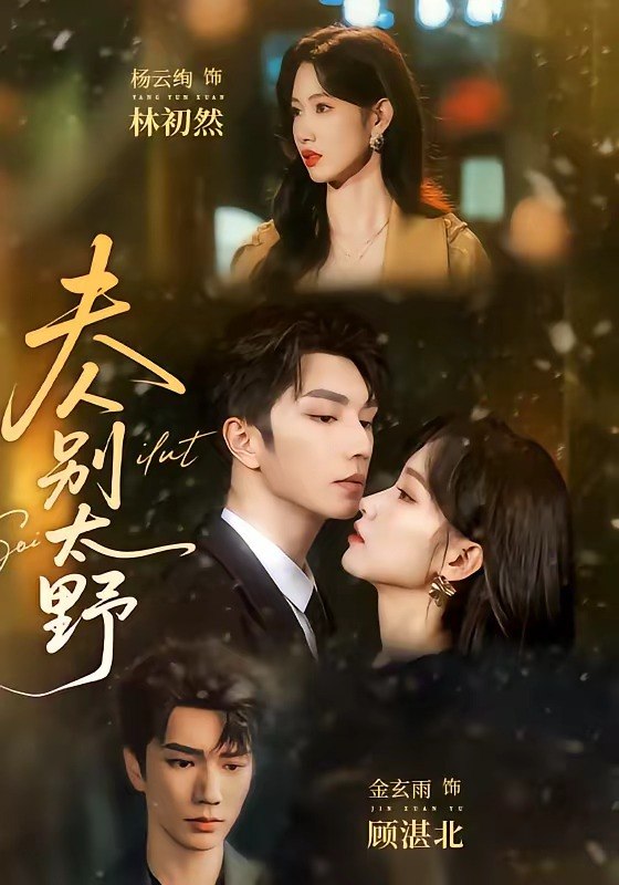 05.夫人别太野（70集）金玄雨＆杨云绚 - 夸克网盘 资源封面图