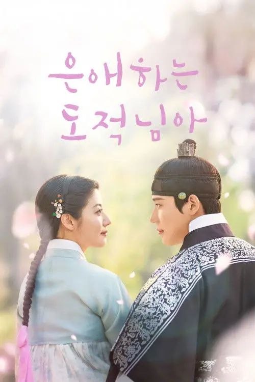 恩爱的盗贼大人 (2025) 1080P - 夸克网盘 资源封面图