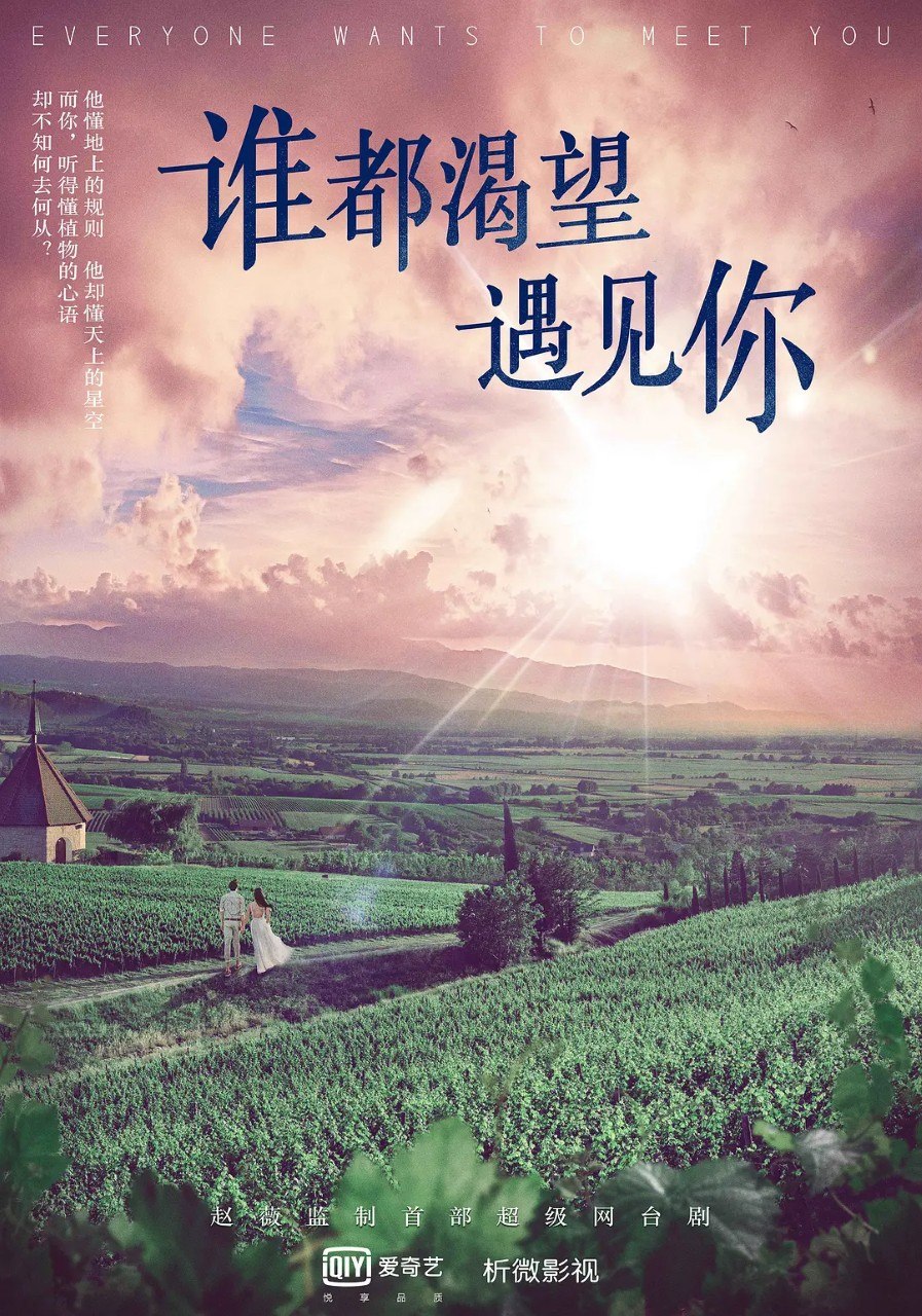 谁都渴望遇见你 (2020) 4K WEB-DL H265 AAC 2.0 - 迅雷云盘 资源封面图