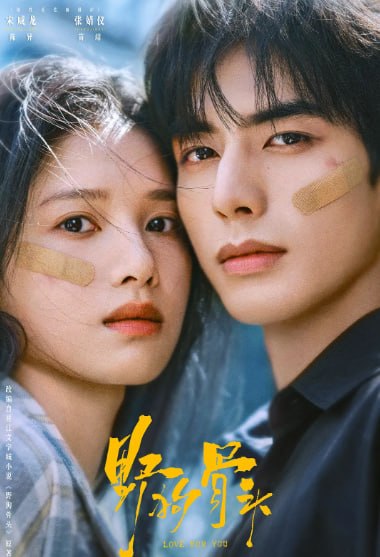 野狗骨头 (2026) 4K/1080P 至12 - 迅雷云盘 资源封面图