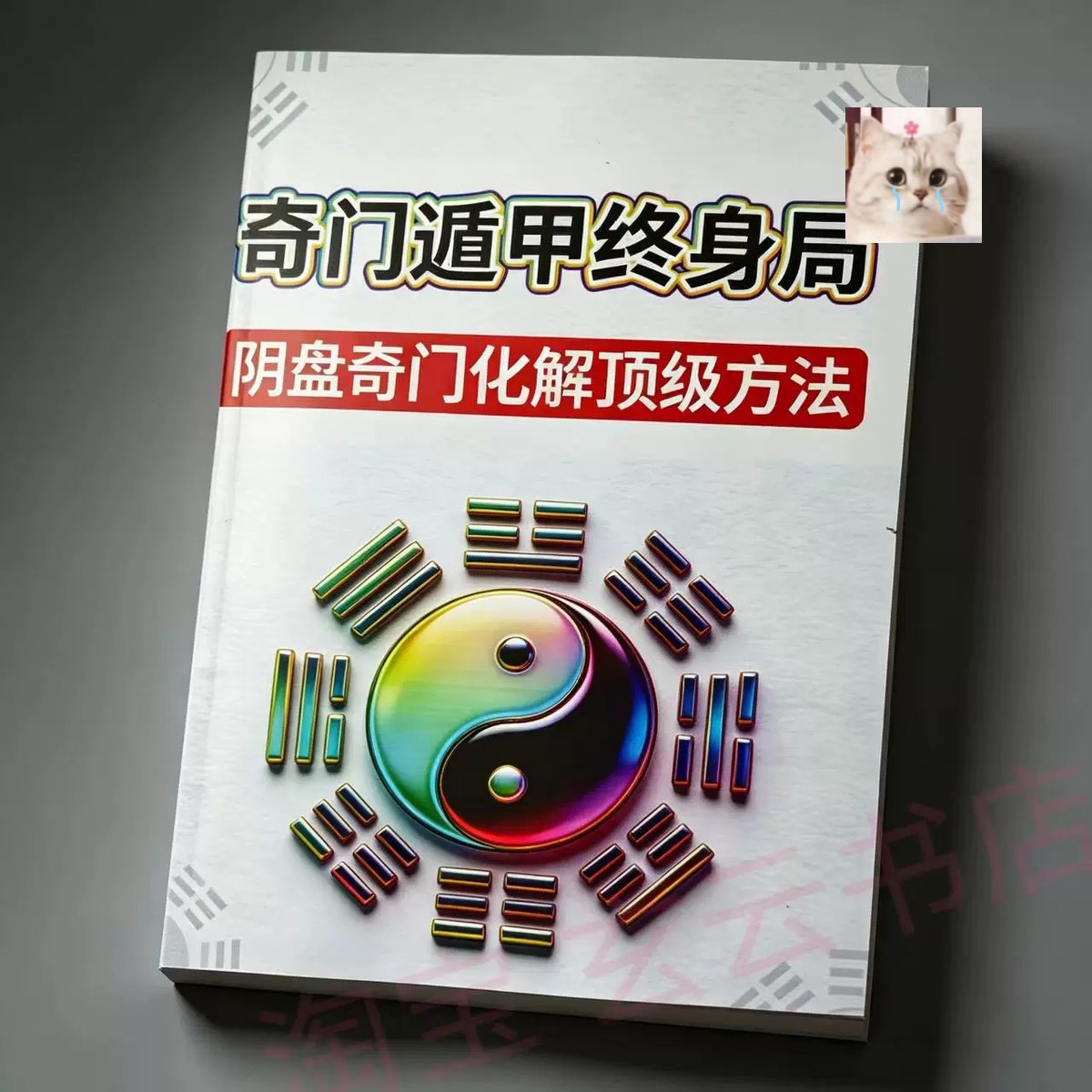 奇门遁甲初级班 - 夸克网盘 资源封面图