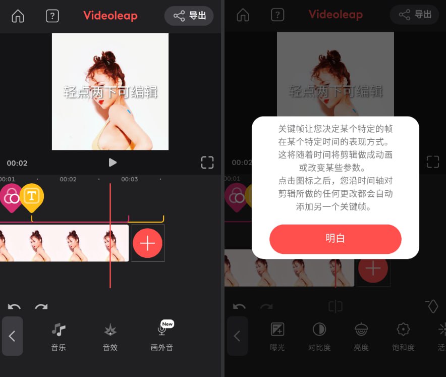 Videoleap真人视频转动漫软件工具 - 迅雷云盘 资源封面图