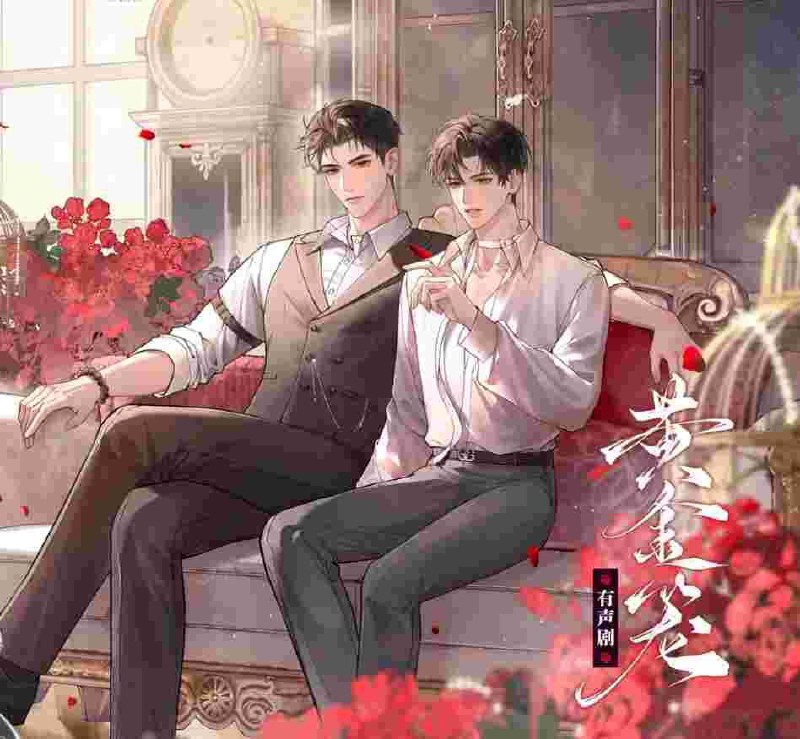 有声剧-黄金笼(46集) - 迅雷云盘 资源封面图