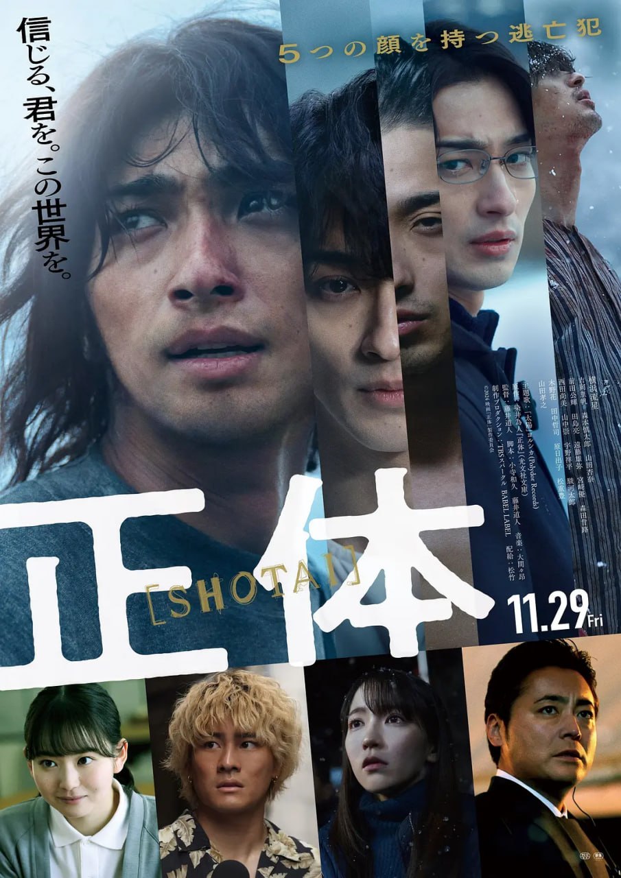 真实身份 正体 (2024) - 迅雷云盘 资源封面图