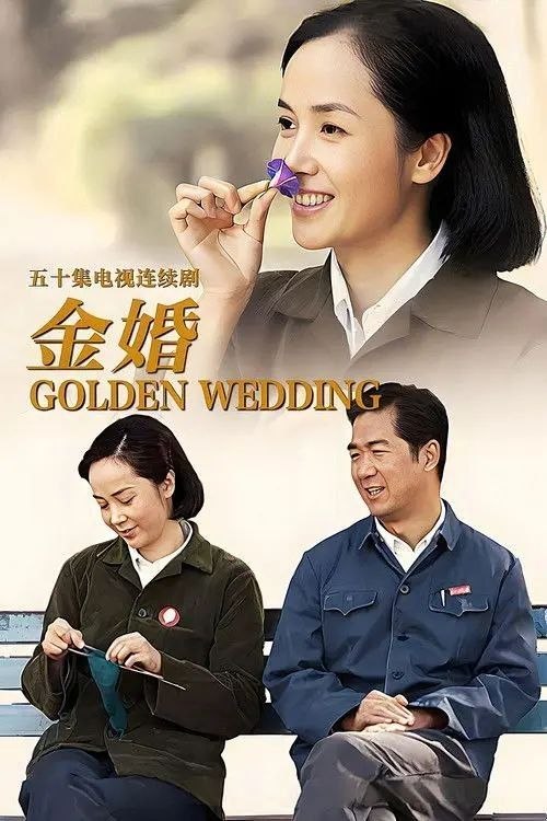 金婚 (2007) 4K - 夸克网盘 资源封面图