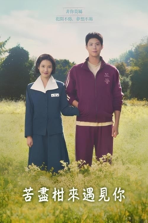 苦尽柑来遇见你 (2025) 4K HDR & Dv - 夸克网盘 资源封面图