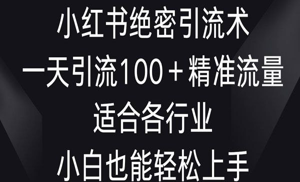 小红书绝密引流术，一天引流100＋精准流量，适合各个行业，小白也能轻松上手 - 百度网盘 资源封面图