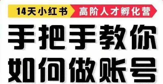 14天手把手教你如何做小红书账号，轻松靠小红书月赚10000+ - 百度网盘 资源封面图