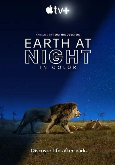2020高分纪录片《夜色中的地球》HD1080p.中英双字 - 百度网盘 资源封面图