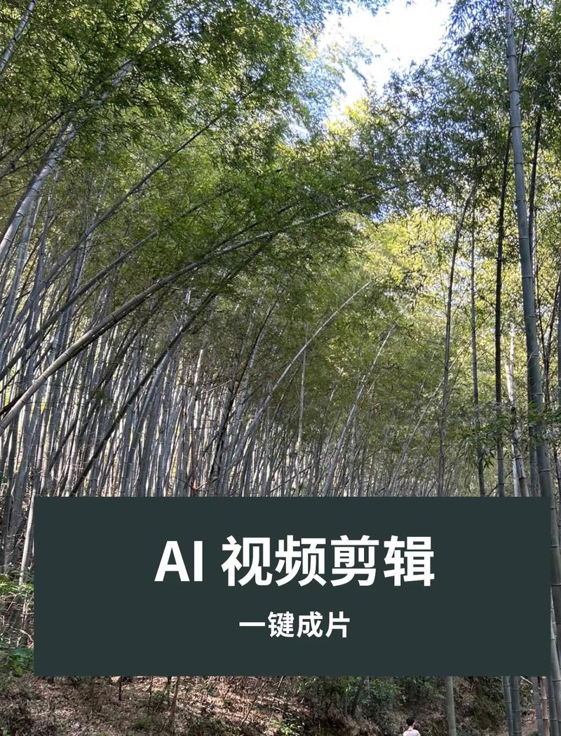 B站妹子【徐珺大哥-收藏集-徐小秘】付费充电合集 - 夸克网盘 资源封面图