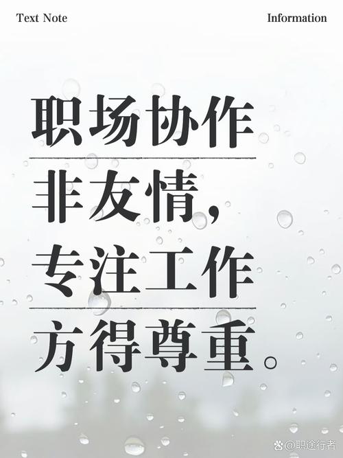 刘莹太极拳视频课程合集 - 夸克网盘 资源封面图
