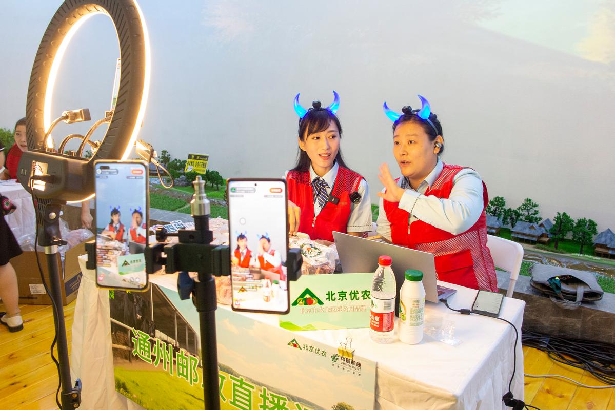 2023千峰教育-网络安全课程 - 夸克网盘 资源封面图