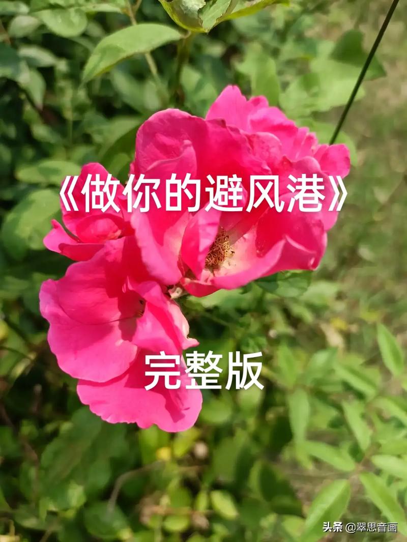 面霸宝360°无死角面试攻略，从简历到offer的完整求职指南 - 夸克网盘 资源封面图