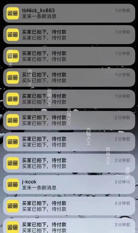 图灵核心编程14期 - 夸克网盘 资源封面图