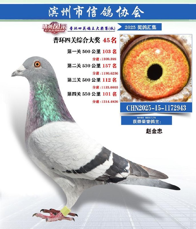 浙大蒋文华老师讲《博弈论》，用博弈思维破解生活决策难题 - 夸克网盘 资源封面图