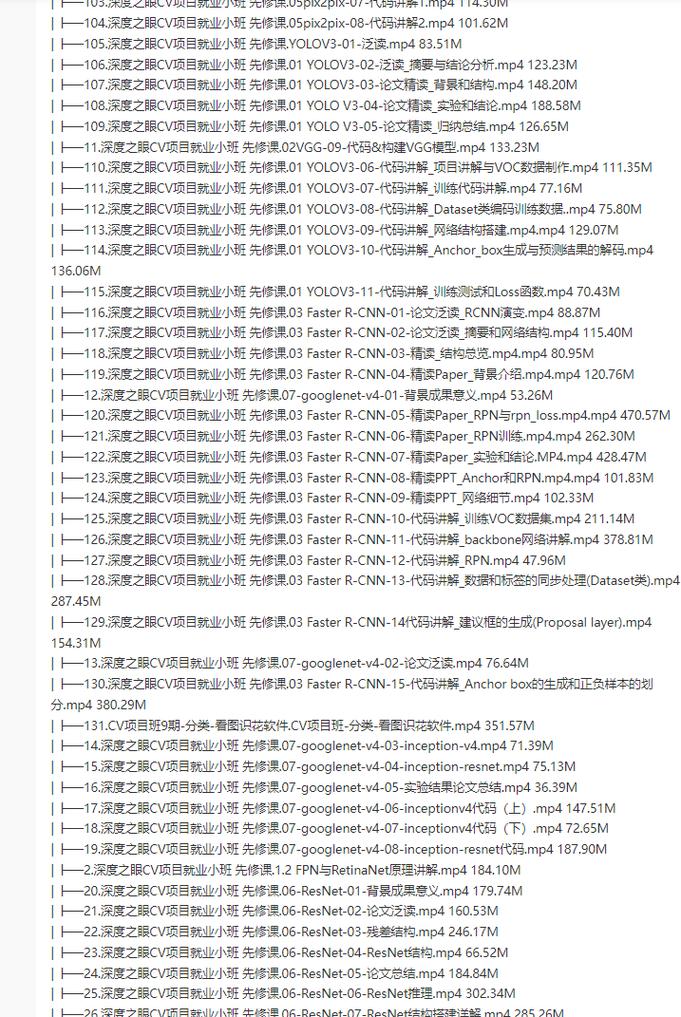 深度之眼-CV项目就业小班第九期 - 夸克网盘 资源封面图