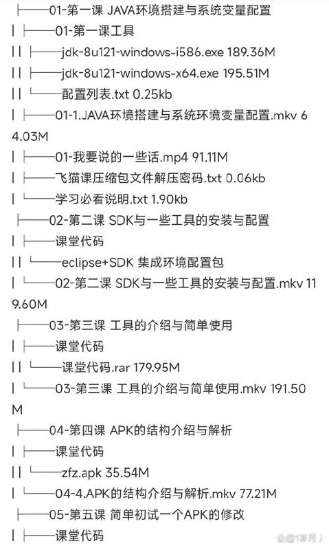 r0ysue(肉丝)的安卓逆向课程合集 - 夸克网盘 资源封面图