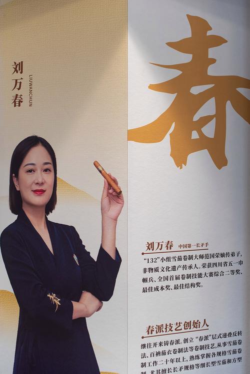 火星-AI虚拟数字人智能体-UE5实时语音交互2025 - 夸克网盘 资源封面图