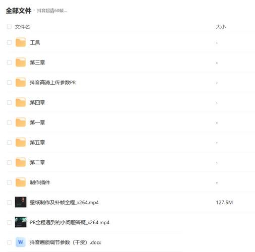 抖音超清60帧视频教程+素材+插件 - 夸克网盘 资源封面图