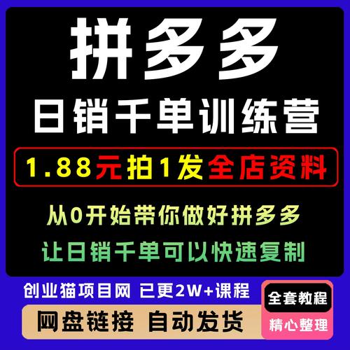 白凤电商学院《拼多多日销千单训练营》 - 百度网盘 资源封面图