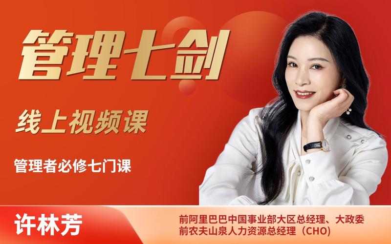 许林芳《管理七剑》 - 百度网盘 资源封面图