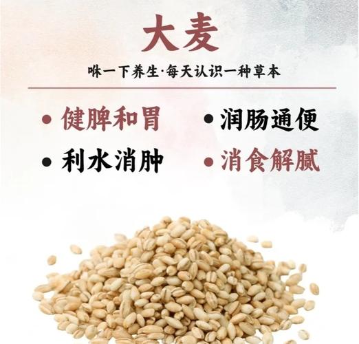 新人新行业把握职场机会指南，从适应到突破的成长路径 - 夸克网盘 资源封面图