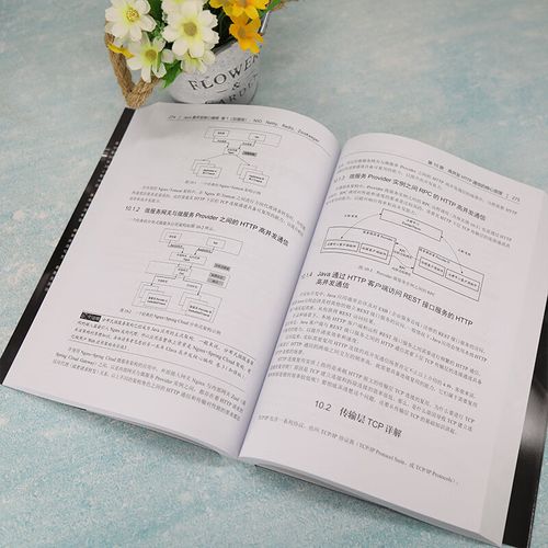 40岁一线老架构师尼恩大厂必备高并发核心编程电子书等资料(1) - 夸克网盘 资源封面图