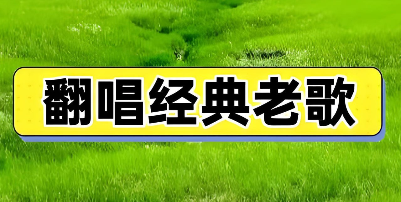 抖音老歌神级翻唱歌曲无损合集 - 迅雷云盘 资源封面图