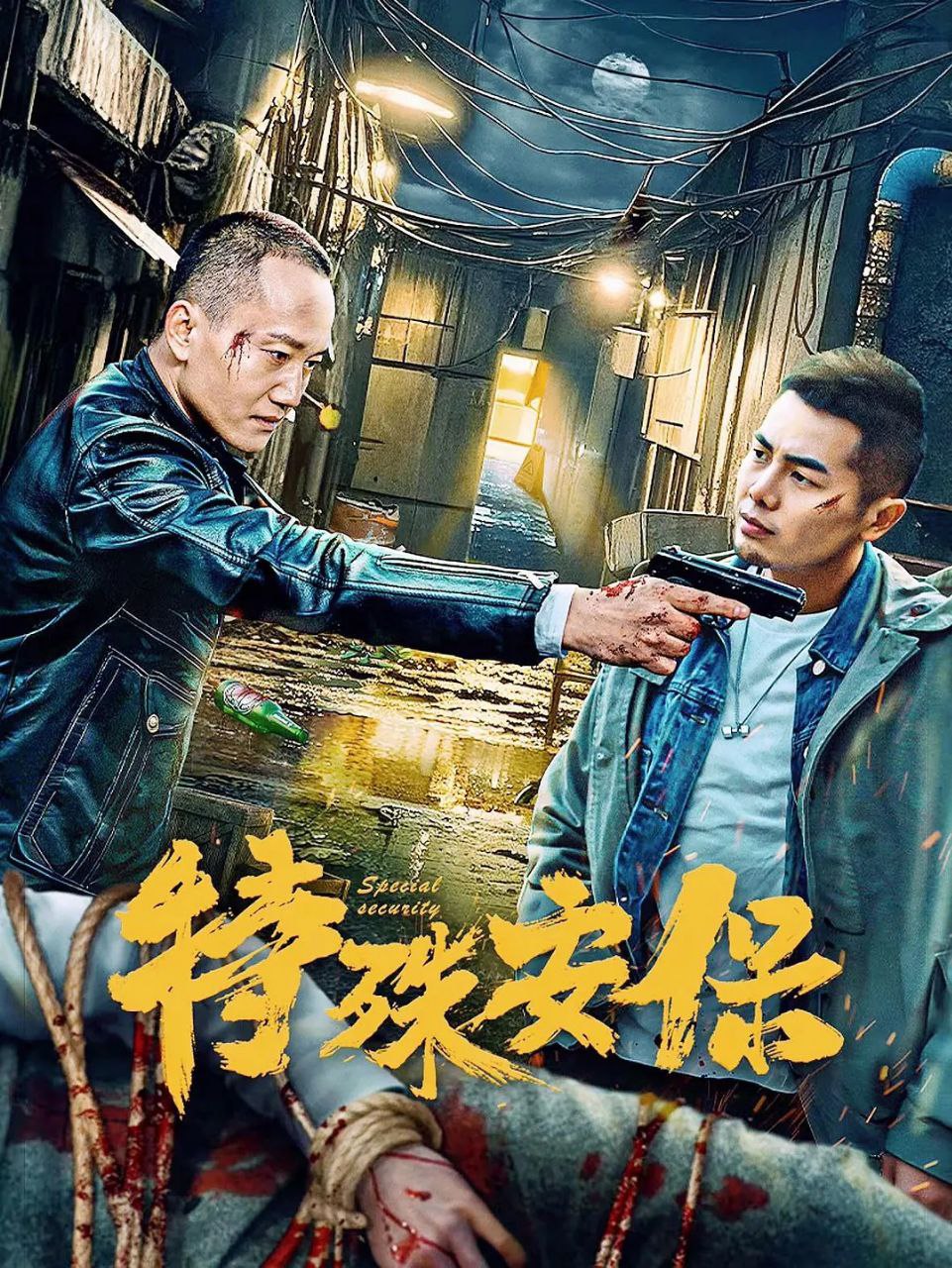 T 调试安保 - 夸克网盘 资源封面图
