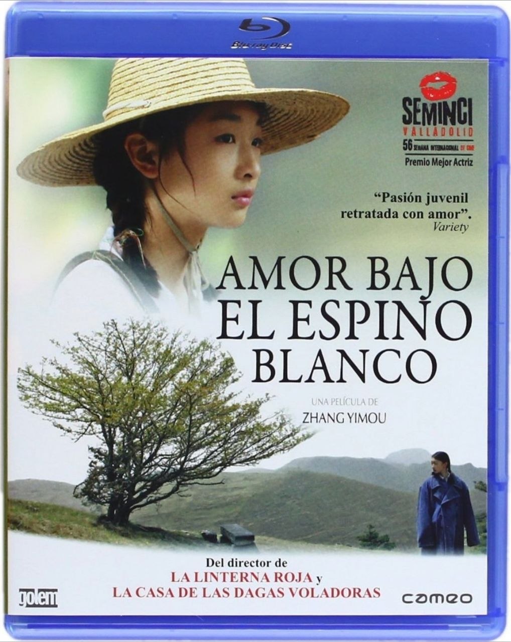 山楂树之恋 (2010) 蓝光原盘REMUX [中英双字 简繁中字] - 夸克网盘 资源封面图
