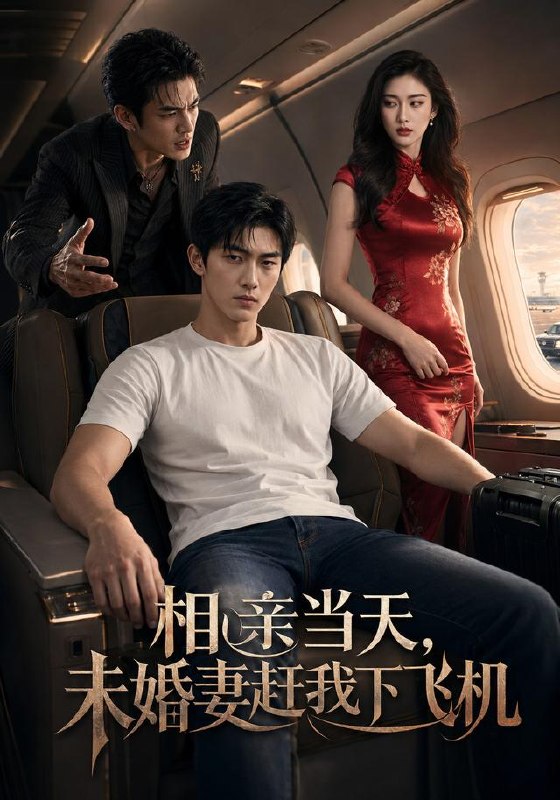 064635-相｜亲｜当｜天｜，｜未｜婚｜妻｜赶｜我｜下｜飞｜机｜ (42集)  AI短剧 - 夸克网盘 资源封面图