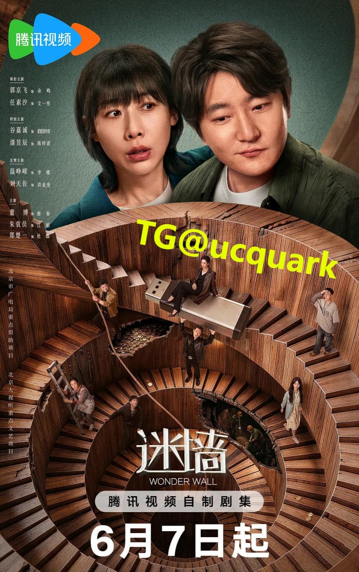 迷墙 (2026 ) WEB-4K 全20集 已完结 - 迅雷云盘 资源封面图
