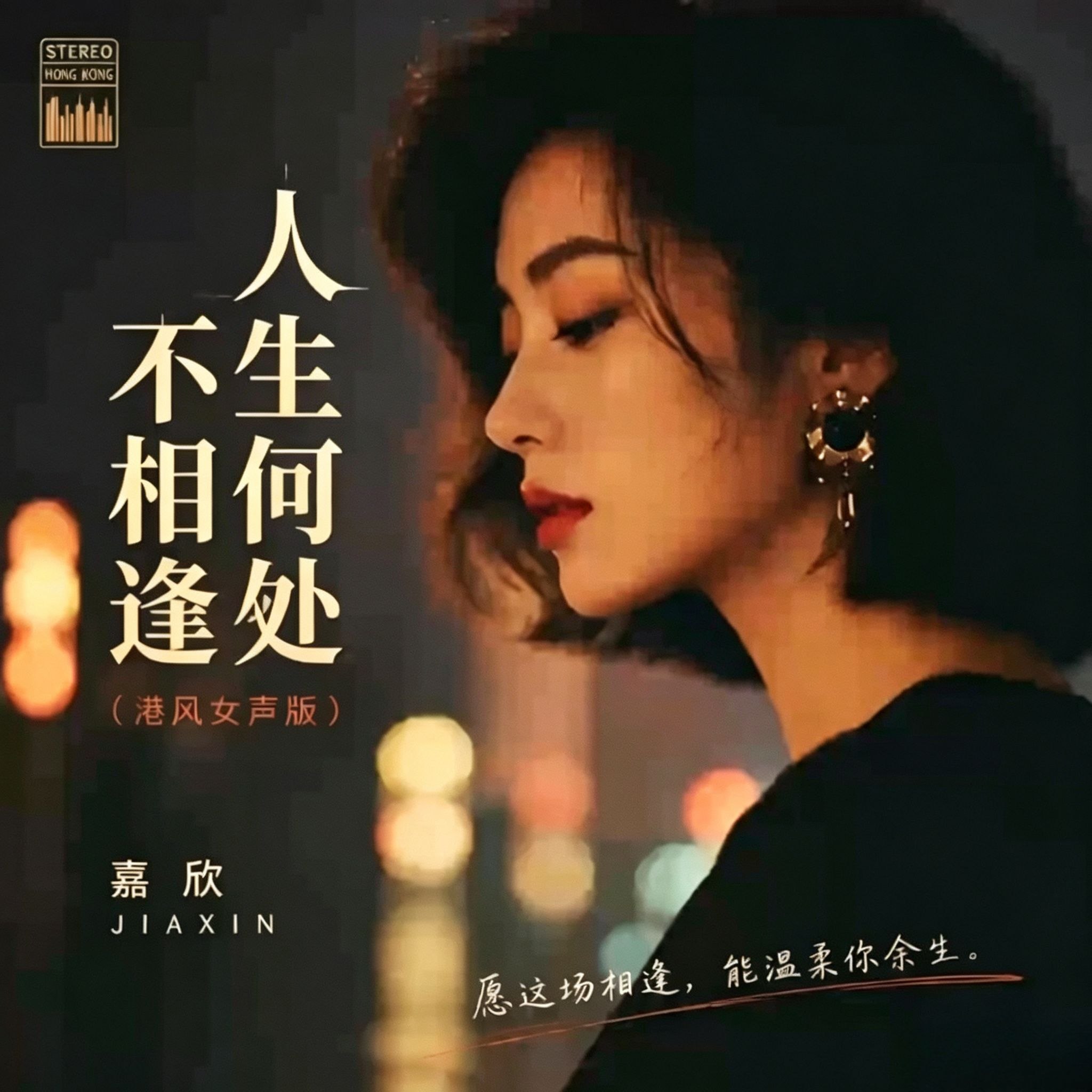 嘉欣 -港版女声歌曲翻唱合集 FLAC - 夸克网盘 资源封面图