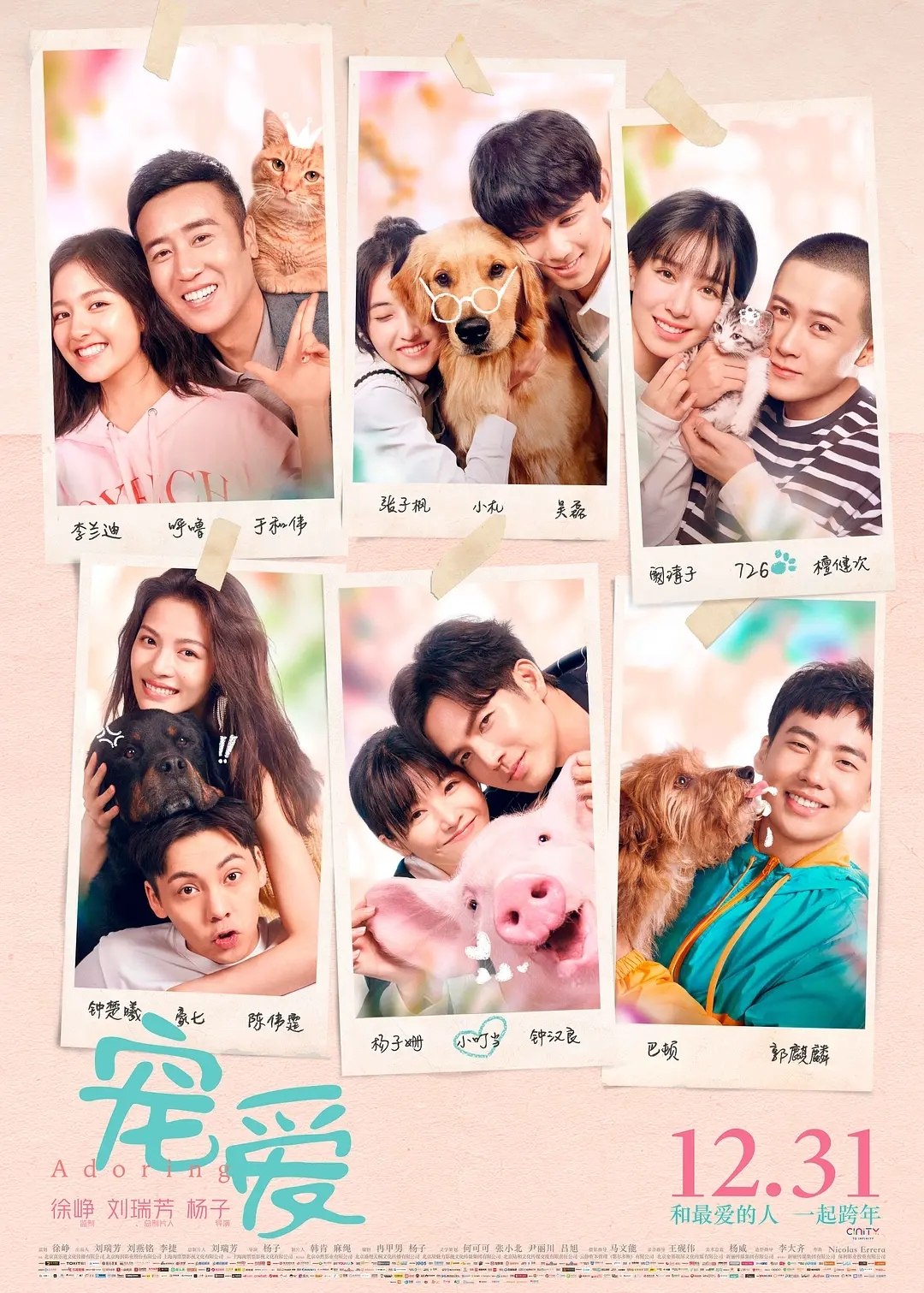 宠爱 (2019) 4K WEB-DL H265 AAC 2.0 - 迅雷云盘 资源封面图