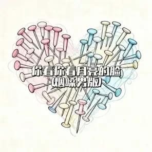 大头针翻唱你看你看月亮的脸 flac - 夸克网盘 资源封面图