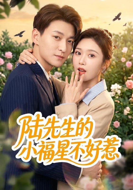 059672-陆｜先｜生｜的｜小｜福｜星｜不｜好｜惹｜ (56集) 肖涵&何为 - 夸克网盘 资源封面图