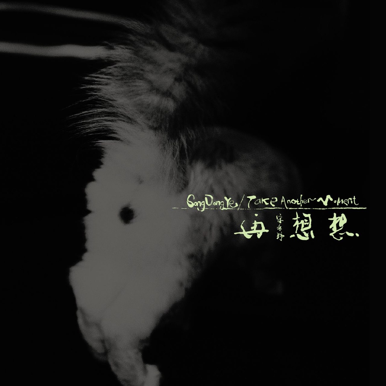 宋_冬野 -再_想想 Take Another Moment - 2026-06-29-44.1kHz-16bit FLAC Qobuz - 夸克网盘 资源封面图