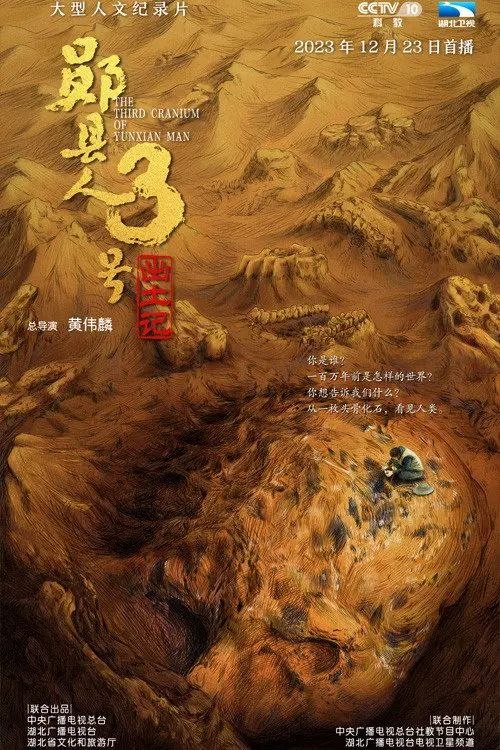 “郧县人”3号出土记 (2023) 4K 全4集 - 阿里云盘 资源封面图
