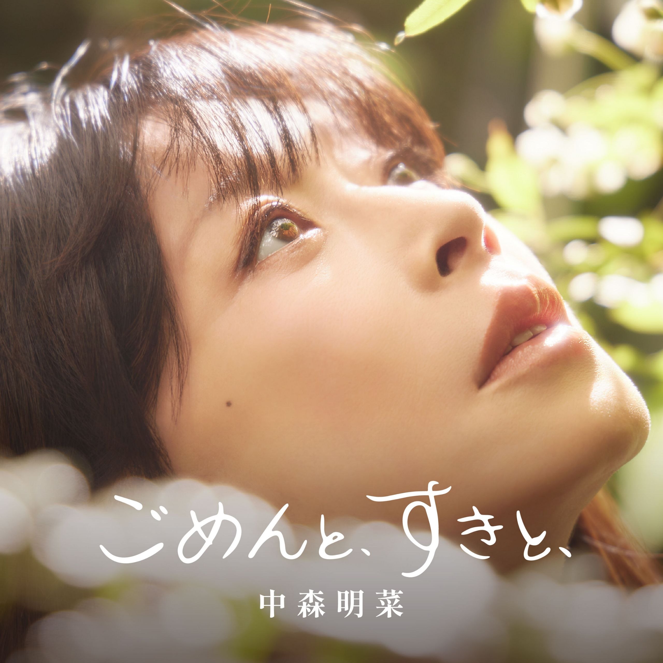 中森明菜 — ごめんと、すきと、 (2026) [WEB-FLAC 24bit／96kHz] - 夸克网盘 资源封面图