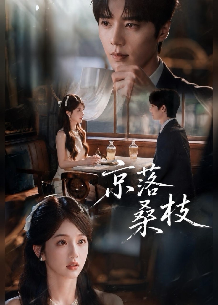 061439-京｜落｜桑｜枝｜ (61集) - 夸克网盘 资源封面图